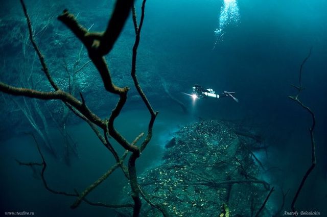 sungai di bawah laut Meksiko
