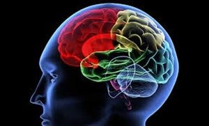 Tips Merawat Otak agar Selalu Sehat