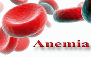 Gejala Penyakit Anemia dan Cara Pencegahannya